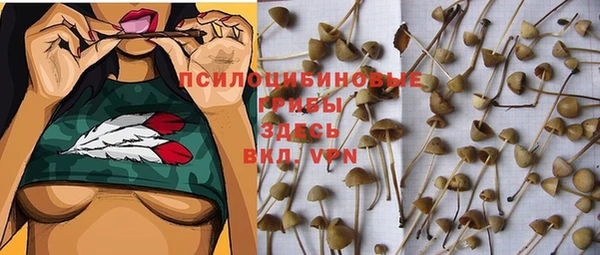 герыч Белокуриха
