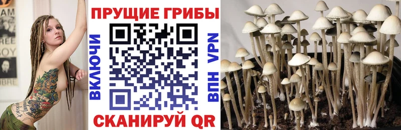 даркнет сайт  kraken ссылки  Галлюциногенные грибы прущие грибы  Донецк 